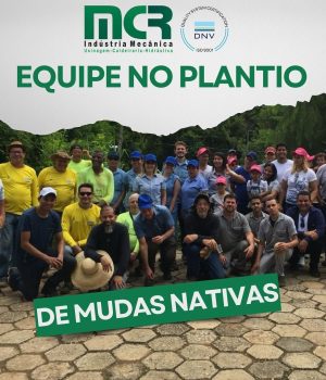ASAS - PLANTIO 3